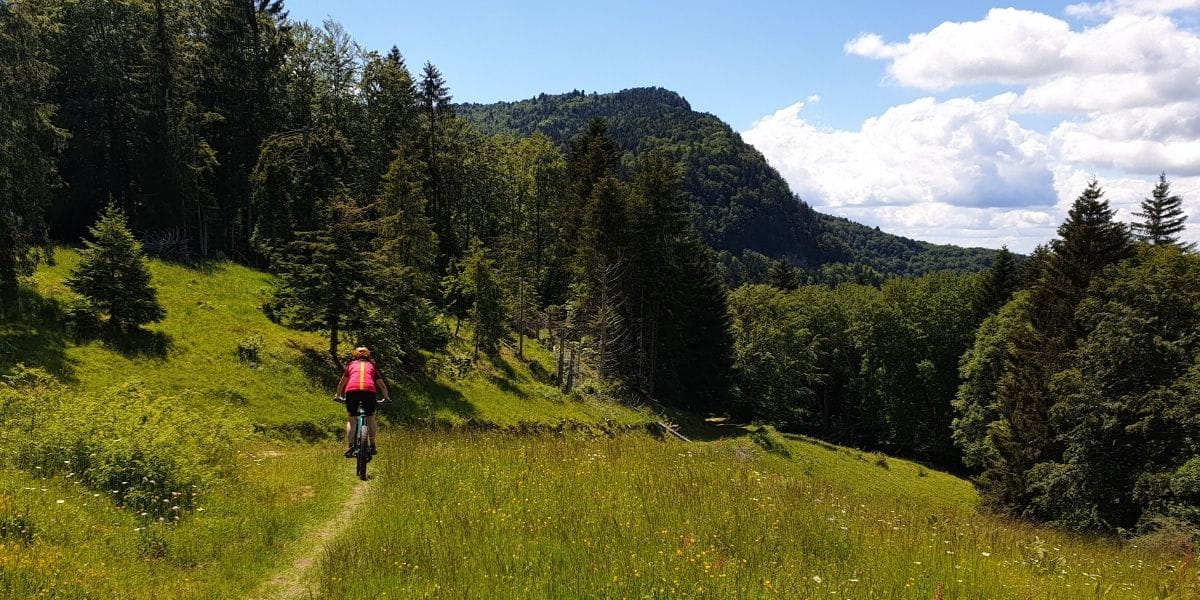 Sentiers VTT du plateau du Revard