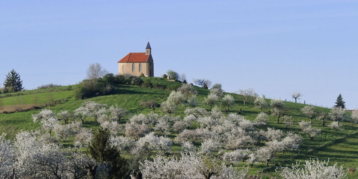 Chapelle de Ripan