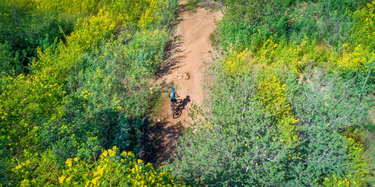 vtt-esterel